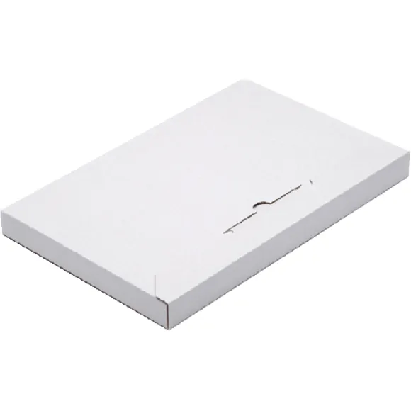 Cleverpack Brievenbusbox CleverPack A4 350x230x26mm karton wit pak à 5 stuks