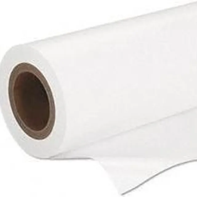 Epson Premium Semigloss Photo Paper, 16,5" x 30,5 m, 160g/m² Transparant Semi Gloss