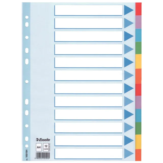 Esselte tabbladen 12 tabs