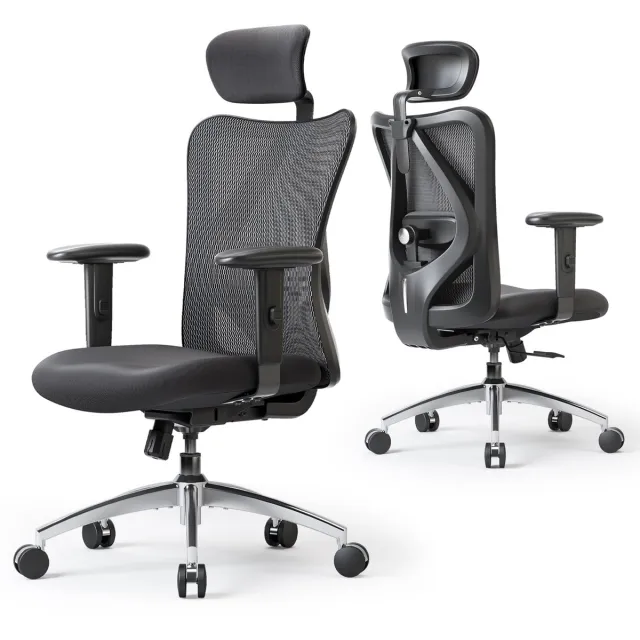 Sihoo M18 Ergonomische Bureaustoel - Ademend Mesh - Verstelbare Hoofd&Lendensteun - Bureaustoelen voor Volwassenen tot 150kg - Kantoor/Thuis/Gaming - Zwart M18-Zwart