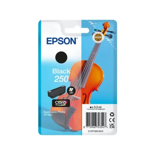 Epson 250 (C13T16N14010) Inktcartridge Zwart