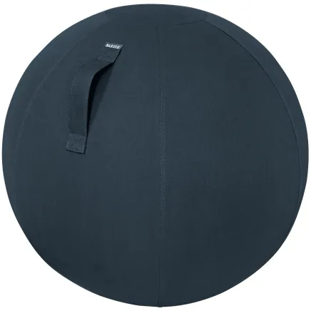Leitz Ergo Cosy Grijs Binnen Rond X