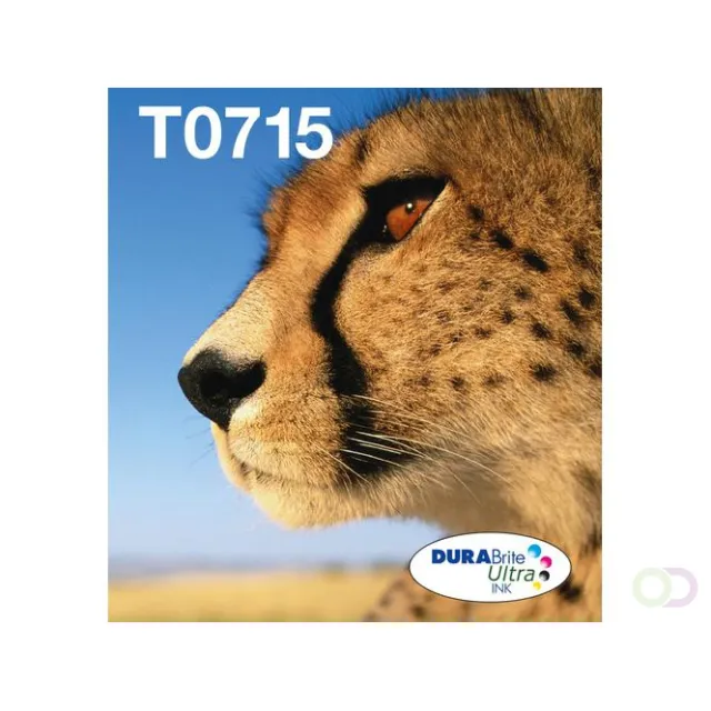 Epson Multipack 4-colours T071 EasyMail (C13T07154511)