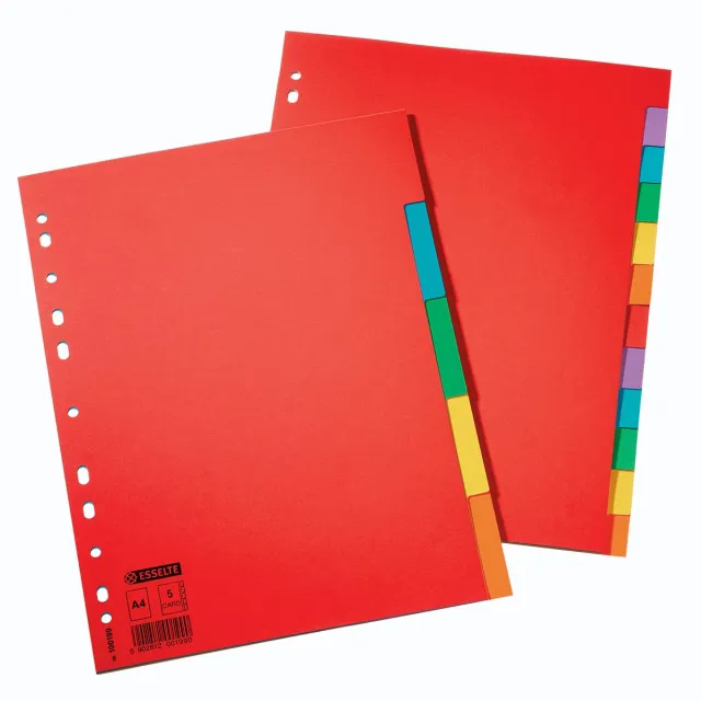 Esselte tabbladen 12 tabs, karton van 220 g/m²