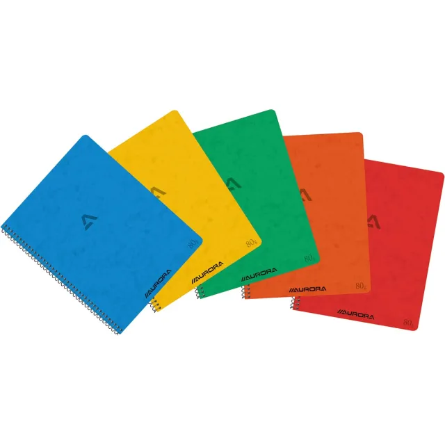 Aurora Writing 80 spiraalschrift, ft 21 x 16,5 cm, 120 bladzijden, commercieel geruit blauw