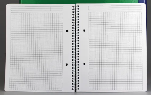 Gallery Traditional spiraalschrift ft A4, geruit 5 mm, geassorteerde kleuren, 160 bladzijden blauw