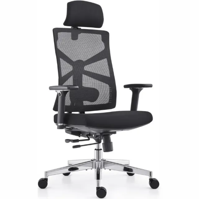 HOLLUDLE Ergonomische Bureaustoel met Adaptieve Rugleuning, Hoge Bureaustoel met 4D Armleuningen, Verstelbare Zitdiepte, Lendensteun en 2D Hoofdsteun, Draaibare Bureaustoel, Zwart