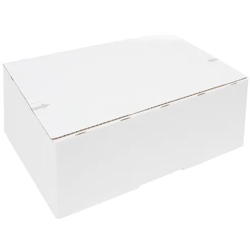 Iezzy Postpakketbox IEZZY 2 200x140x80mm wit