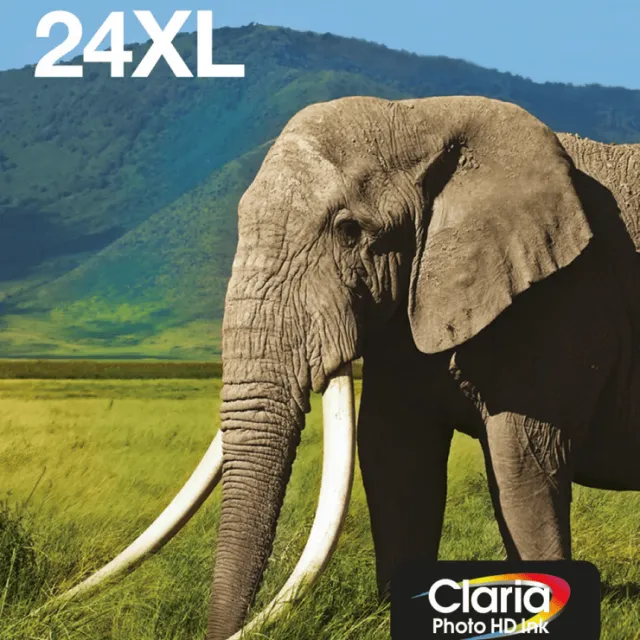 Epson 24XL Cartridges Combo Pack