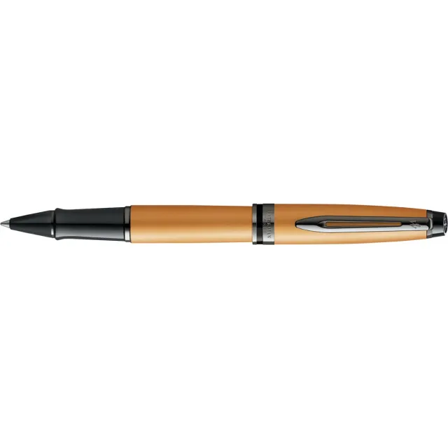 Waterman Expert Gold RT roller zwart