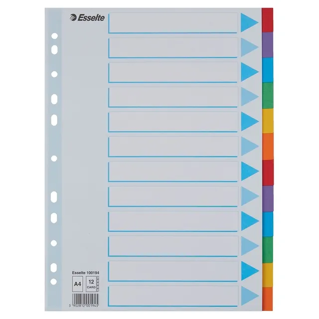 Esselte Tabbladen Esselte Standaard A4 12-delig karton 11-rings met voorblad assorti