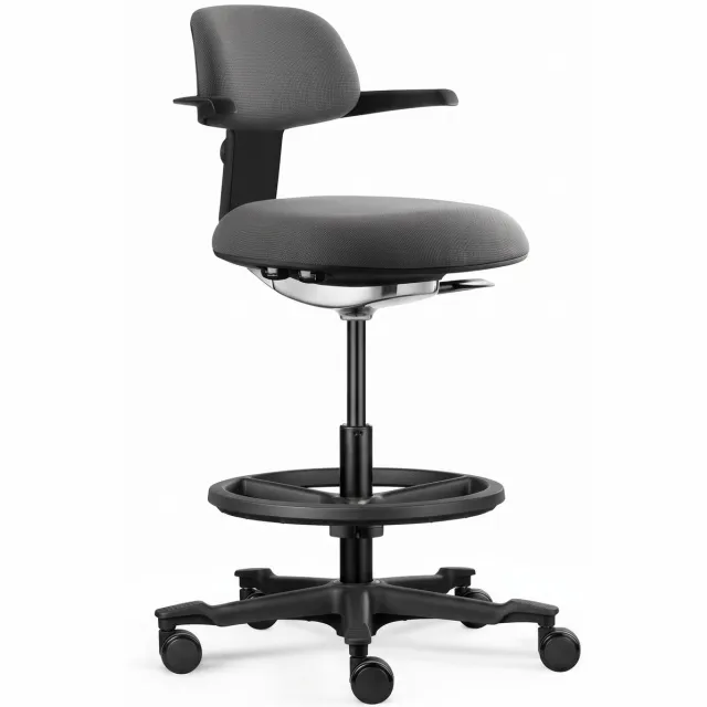 Backerz Ergonomische Werkkruk met Voetsteunring - Bureaustoelen voor Volwassenen - Volledig Verstelbaar, tot 120kg - Office Chair - Gamestoel - Zwart 4. Zwart