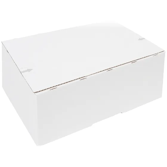 Iezzy Postpakketbox IEZZY 4 305x215x110mm wit