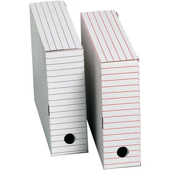Archiefdoos, ft 31 x 24,5 x 8,5 cm (b x h x d), set van 2