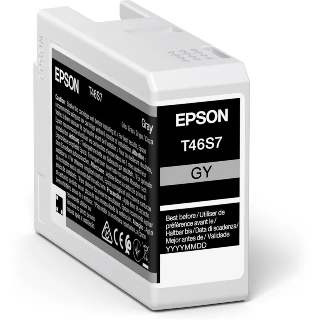 Epson Original Ink Cartridge Epson C13T46S700 25 ml Black Grey