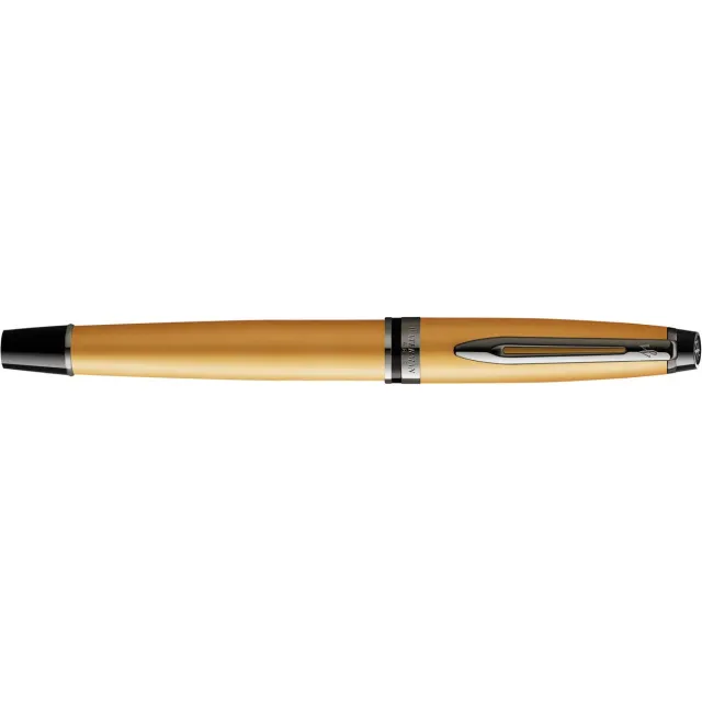 Waterman Expert Gold RT vulpen blauw