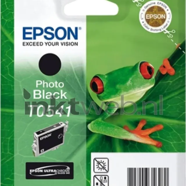 Epson T0541 foto zwart (Origineel)