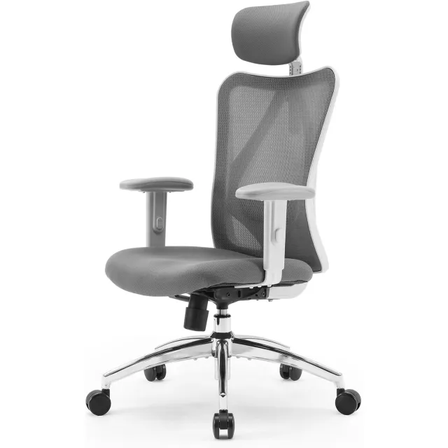 Sihoo M18 Ergonomische Bureaustoel - Ademend Mesh - Verstelbare Hoofd&Lendensteun - Bureaustoelen voor Volwassenen tot 150kg - Kantoor/Thuis/Gaming - Grijs M18-Grijs