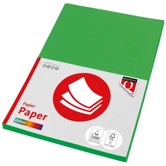 Quantore Kopieerpapier Quantore Colour A4 120gr grasgroen 100 vel