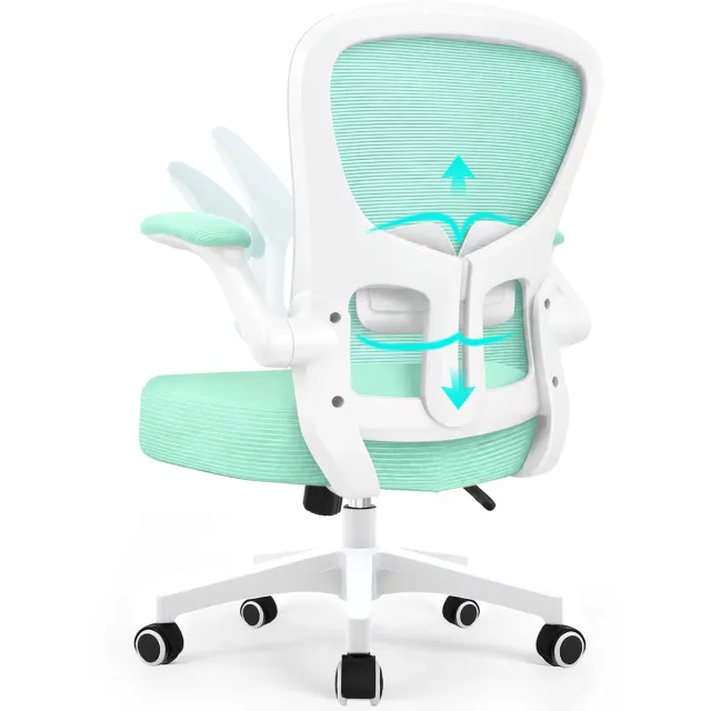Durrafy Bureaustoel - Ergonomische bureaustoel tot 150 kg - Bureaustoelen voor Volwassenen - Getest volgens EN 1335 - Verstelbare Lendensteun - 90° Opklapbare Armleuningen - Dik Zitkussen - Groen