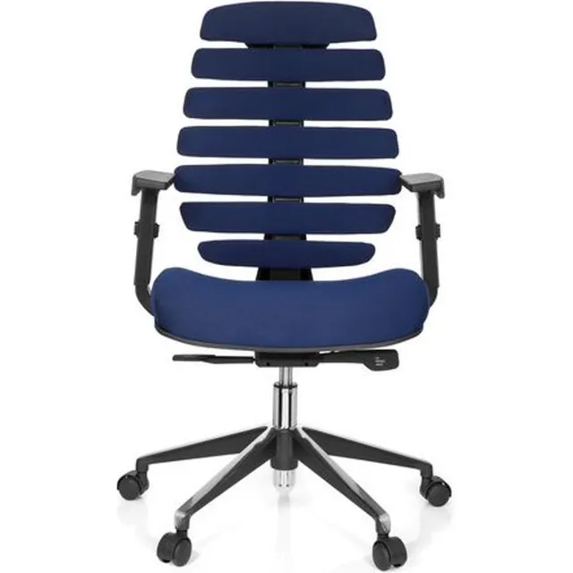 Schaffenburg Ergonomische bureaustoel 101 model Ruggengraatstoel in Blauw