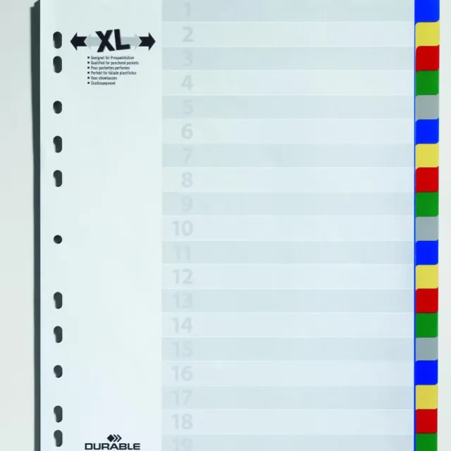 Durable tabbladen A4, 20-delig met gekleurde tabs en voorblad PP