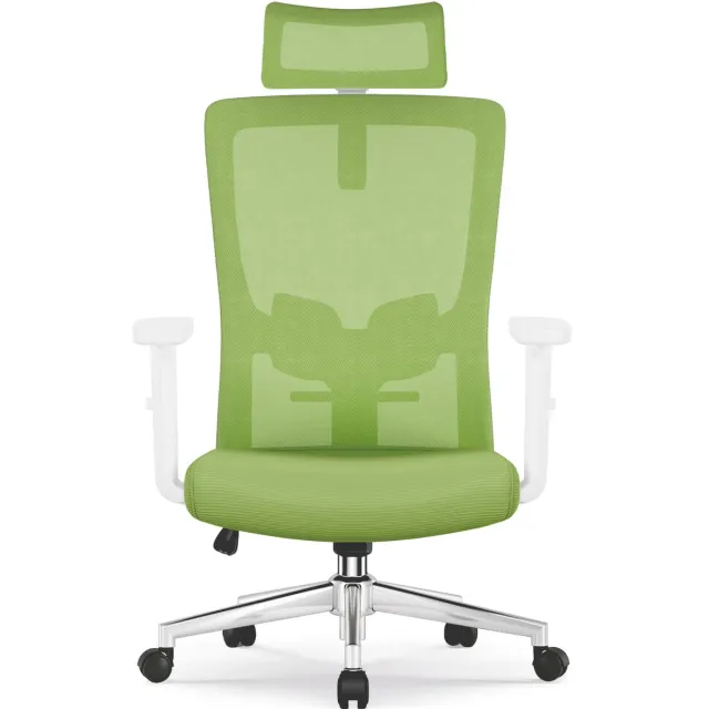 Elekiatech Ergonomische Bureaustoel - Bureaustoel - Bureaustoelen voor Volwassenen - met Verstelbare Hoofdsteun, Armleuningen en Lendensteun - 150 Kg - Groen