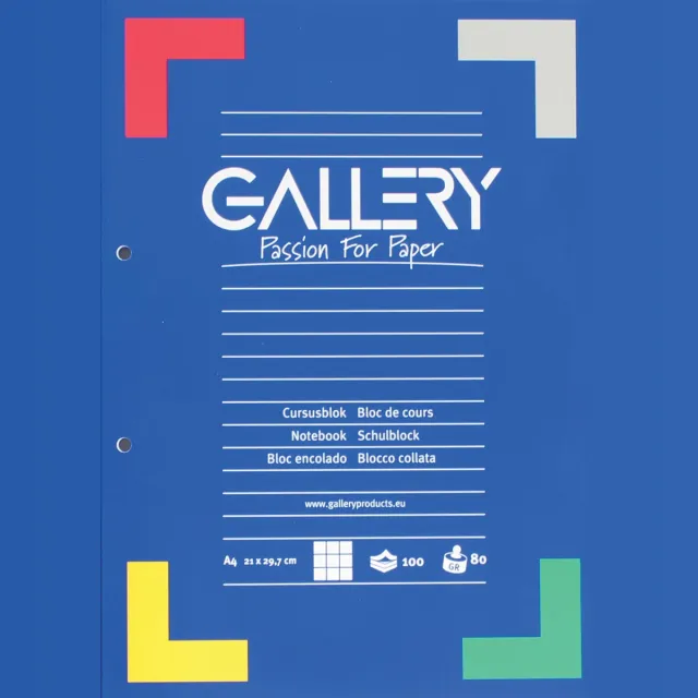Gallery cursusblok, ft A4, 80 g/m², 2-gaatsperforatie, geruit 5 mm, 100 vel