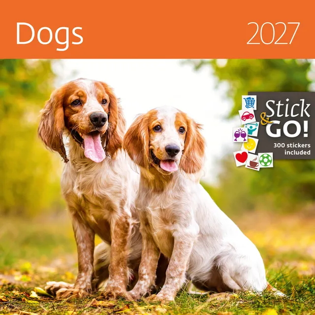 Helma 365 Kalender 2027 Helma 365 30x30cm honden