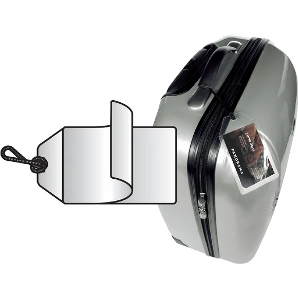 Djois Label bagage Djois 3L 11120 72x123mm met nylonkoord transparant 10 stuks