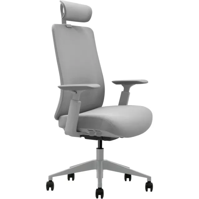 Worktrainer Bureaustoel Vane - Grijs - Ergonomisch NEN-EN 1335 - Schuifzitting, Lendesteun & 3D Armleggers - Met hoofdsteun