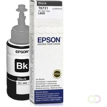 Epson T6731 Origineel (C13T67314A) Foto zwart