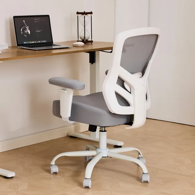 DESMIU Bureaustoel 61 x 28 x 58 cm - Ergonomisch met 2D Verstelbare Armleuningen en Lendensteun - Voor Kantoor en Thuiswerk - Stof en Mesh - Grijs