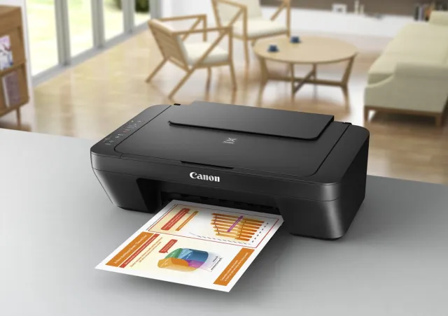 Canon PIXMA MG2550S - All-In-One Printer - Zonder WiFi Zwart