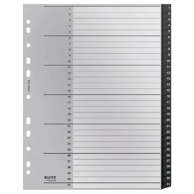 Leitz Tabblad Leitz Recycle A4 11-gaats 1-31 extra breed PP