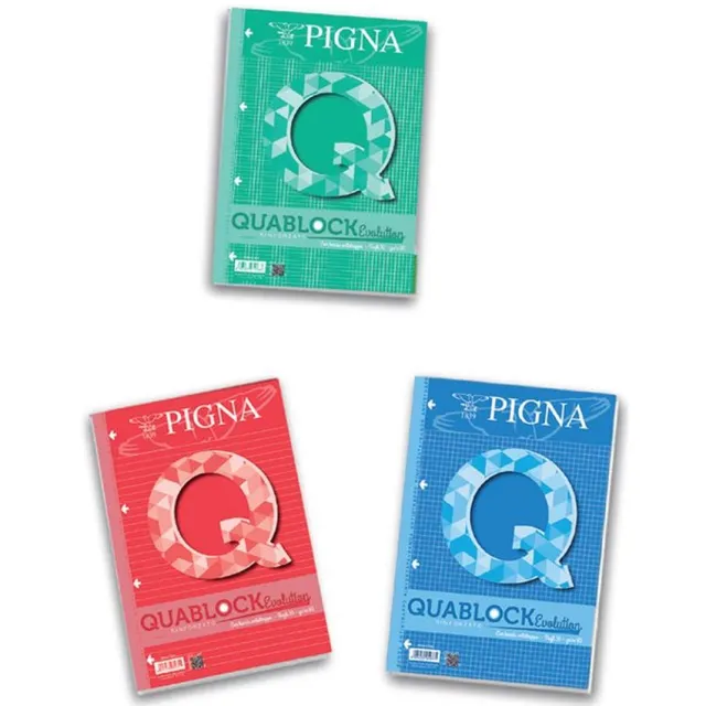 Pigna 02112151R schrijfblok & schrift A4 40 vel Meerkleurig