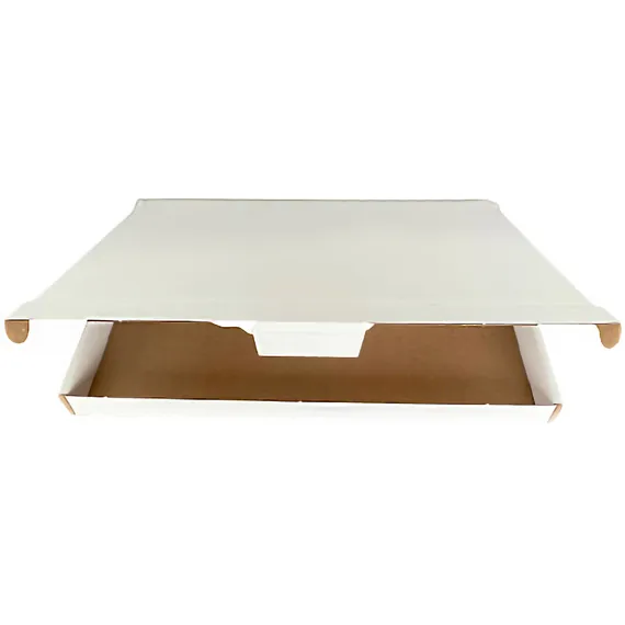 Iezzy Brievenbusbox IEZZY A4 360x255x26mm karton wit