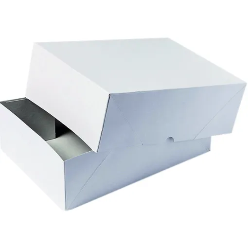 Iezzy Paraatdoos IEZZY A4 305x215x50mm voor 500vel wit