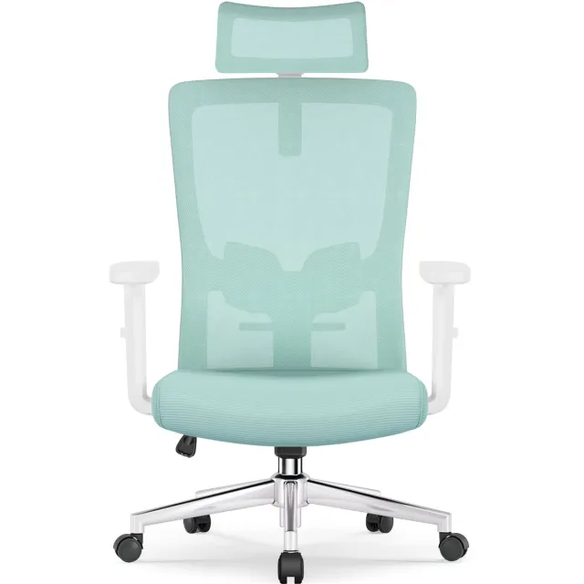 Elekiatech Ergonomische Bureaustoel - Bureaustoel - Bureaustoelen voor Volwassenen - met Verstelbare Hoofdsteun, Armleuningen en Lendensteun - 150 Kg - Blauwgroen