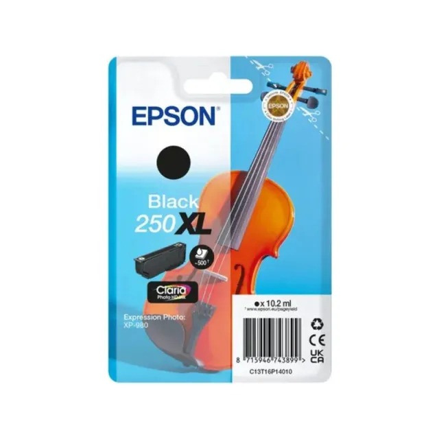 Epson 250XL (C13T16P14010) Inktcartridge Zwart Hoge capaciteit