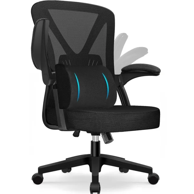 Elekiatech Ergonomische Bureaustoel - Bureaustoel - Opklapbare Armleuningen - Bureaustoelen voor Volwassenen - 150 Kg - Zwart Zwart+lendenkussen
