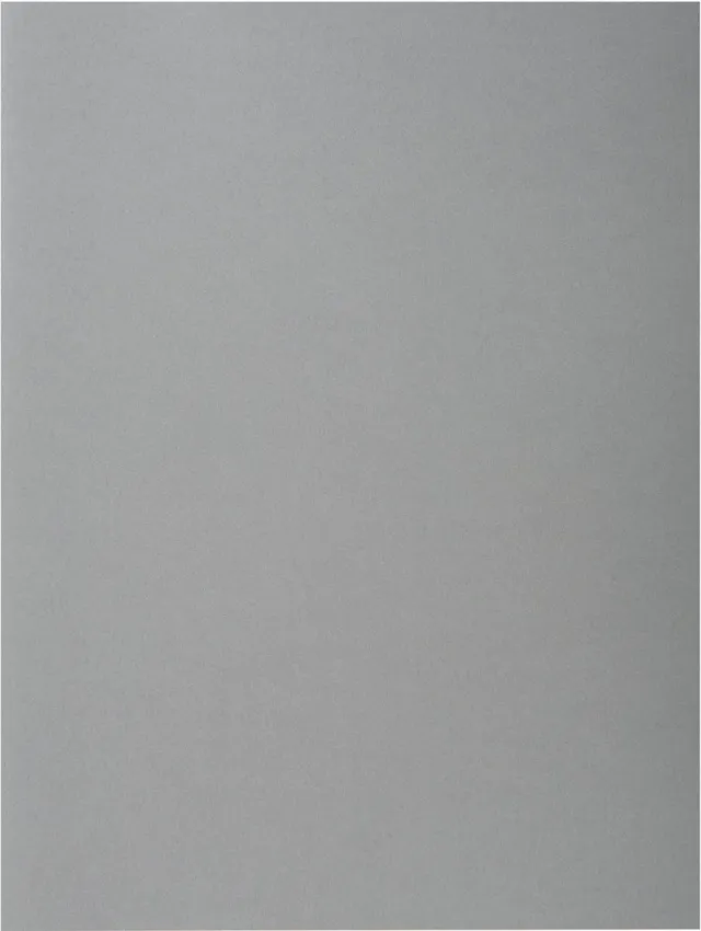 Exacompta Rock's 80 dossiermap, ft 22 x 31 cm, pak van 100, grijs
