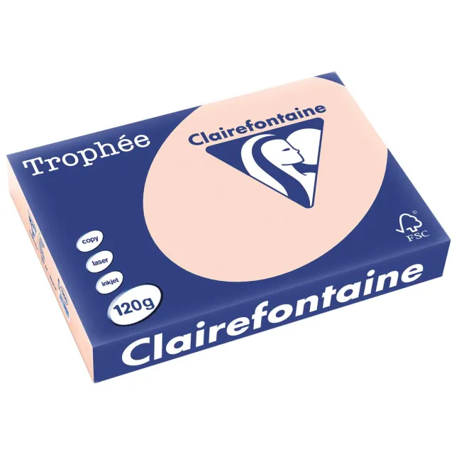 Clairefontaine Trophée Pastel, gekleurd papier, A4, 120 g, 250 vel, zalm